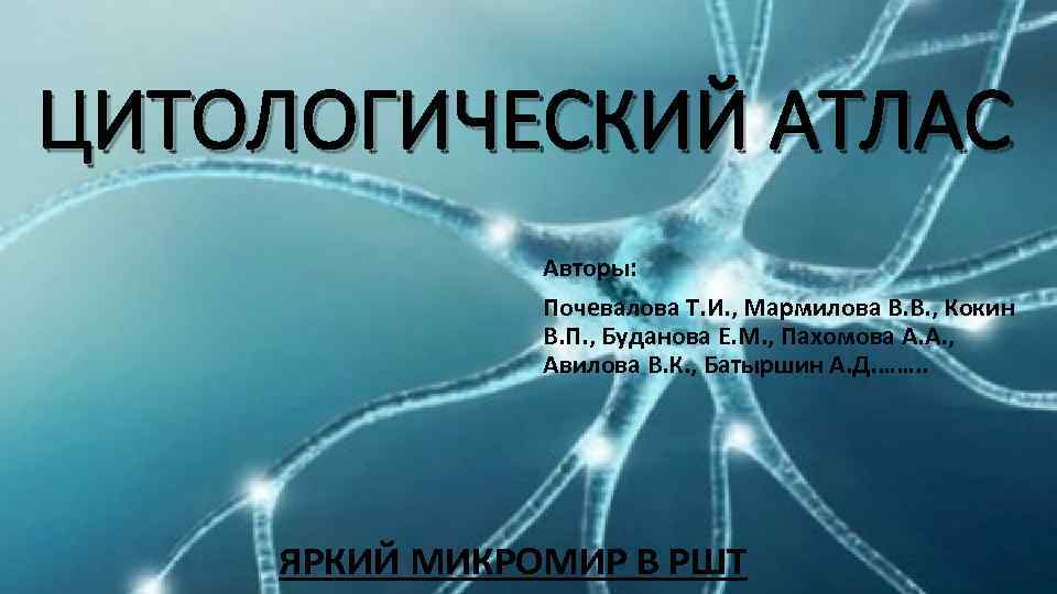 ЦИТОЛОГИЧЕСКИЙ АТЛАС Авторы: Почевалова Т. И. , Мармилова В. В. , Кокин В. П.