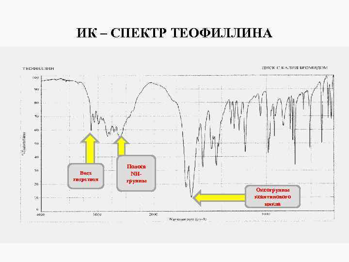 ИК – СПЕКТР ТЕОФИЛЛИНА Вода гидратная Полоса NHгруппы Оксогруппы ксантинового цикла 