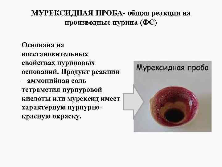 МУРЕКСИДНАЯ ПРОБА- общая реакция на производные пурина (ФС) Основана на восстановительных свойствах пуриновых оснований.