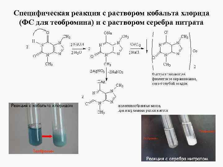 Кофеин гф. Теобромин мурексидная проба. Качественные реакции на производные Пурина. Серебряная проба на пуриновые основания цвет. Реакция теобромина с нитратом серебра.