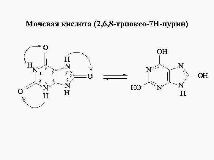 Напишите схему образования мочевой кислоты укажите названия всех ферментов