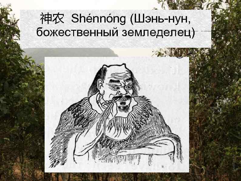 神农 Shénnóng (Шэнь-нун, божественный земледелец) 