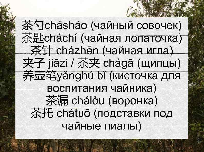 茶勺chásháo (чайный совочек) 茶匙cháchí (чайная лопаточка) 茶针 cházhēn (чайная игла) 夹子 jiāzi / 茶夹