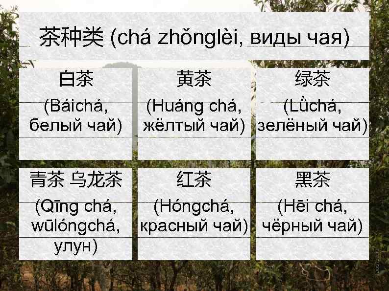 茶种类 (chá zhǒnglèi, виды чая) 白茶 (Báichá, белый чай) 青茶 乌龙茶 (Qīng chá, wūlóngchá,