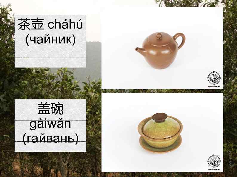 茶壶 cháhú (чайник) 盖碗 gàiwǎn (гайвань) 