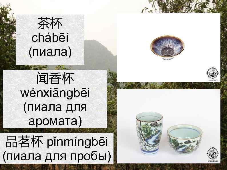 茶杯 chábēi (пиала) 闻香杯 wénxiāngbēi (пиала для аромата) 品茗杯 pǐnmíngbēi (пиала для пробы) 