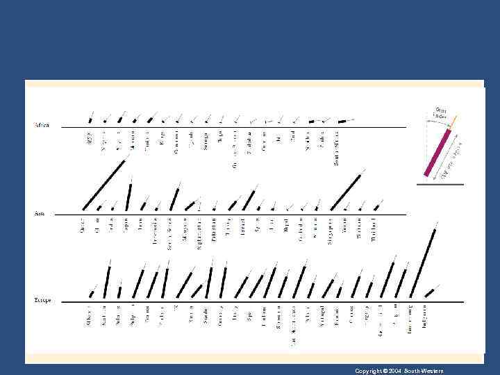 Copyright © 2004 South-Western 