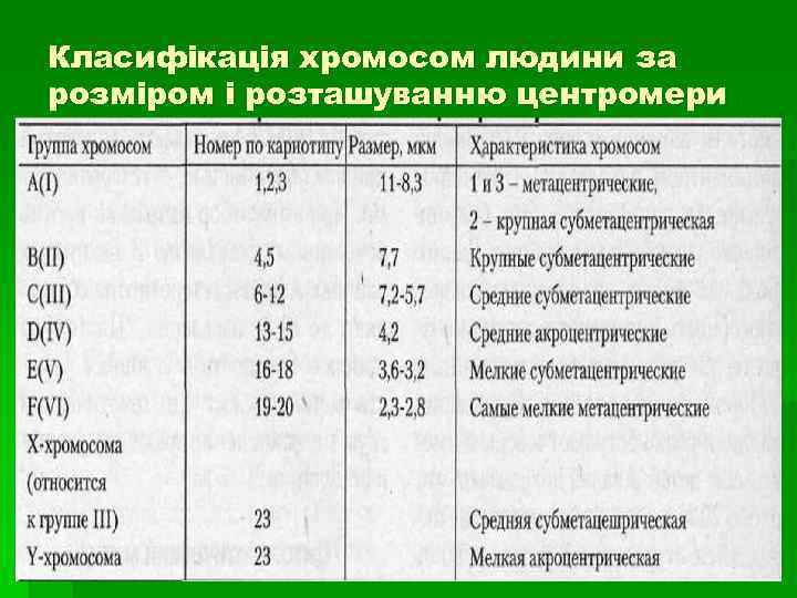 Класифікація хромосом людини за розміром і розташуванню центромери 