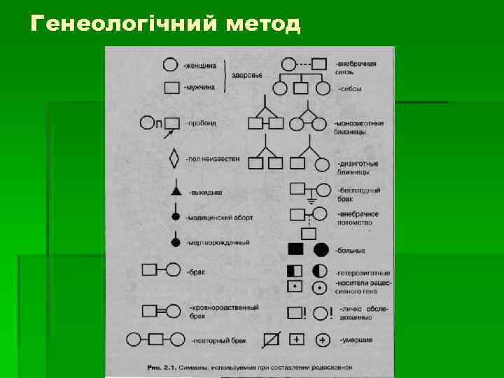 Генеологічний метод 