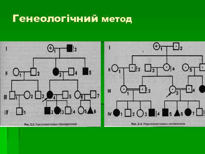 Генеологічний метод 