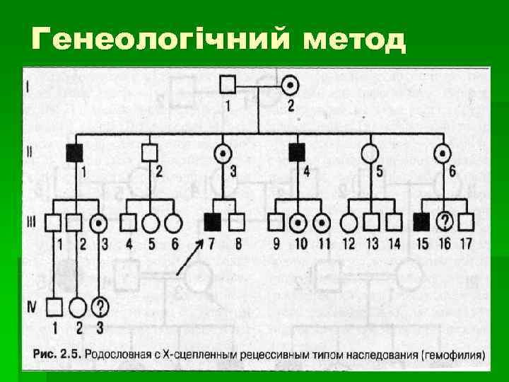 Генеологічний метод 