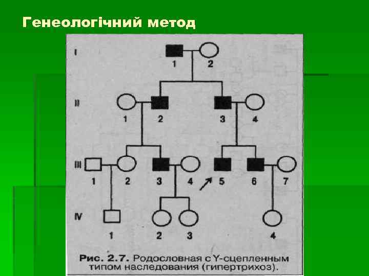 Генеологічний метод 