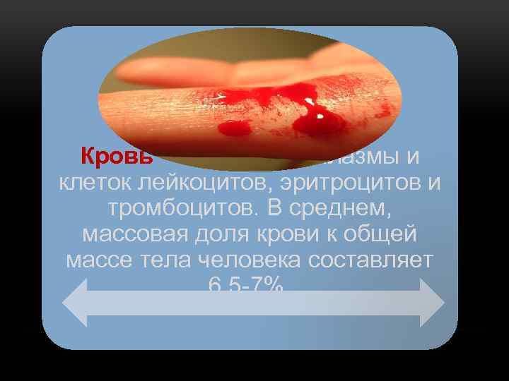 Кровь — состоит из плазмы и клеток лейкоцитов, эритроцитов и тромбоцитов. В среднем, массовая