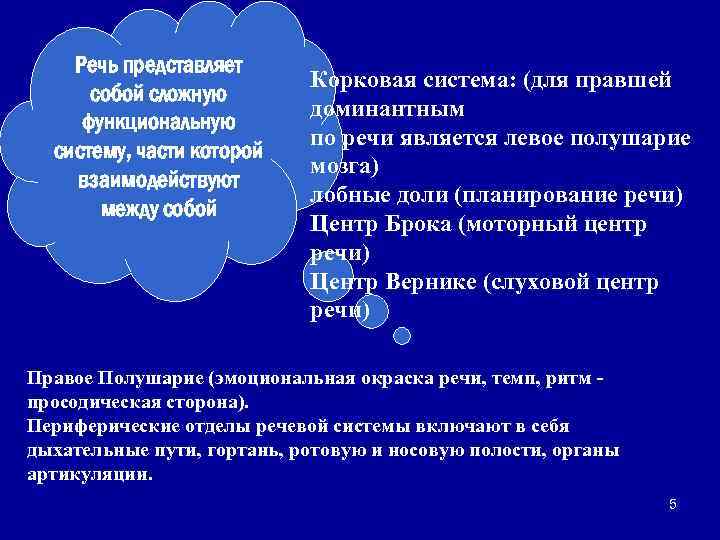 Речь представляет собой сложную функциональную систему, части которой взаимодействуют между собой Корковая система: (для