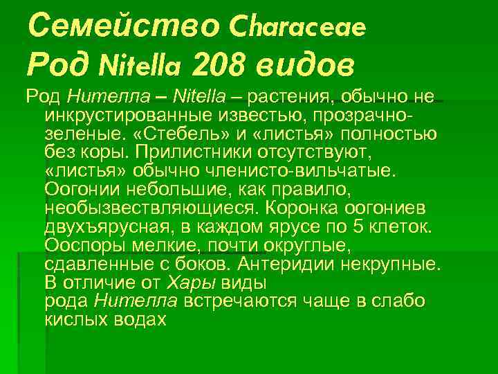 Семейство Characeae Род Nitella 208 видов Род Нителла – Nitella – растения, обычно не