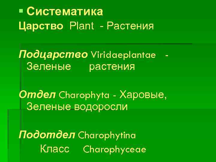 § Систематика Царство Plant - Растения Подцарство Viridaeplantae Зеленые растения Отдел Charophyta - Харовые,