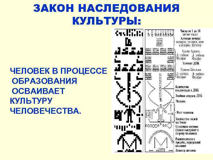 ЗАКОН НАСЛЕДОВАНИЯ КУЛЬТУРЫ: ЧЕЛОВЕК В ПРОЦЕССЕ ОБРАЗОВАНИЯ ОСВАИВАЕТ КУЛЬТУРУ ЧЕЛОВЕЧЕСТВА. 