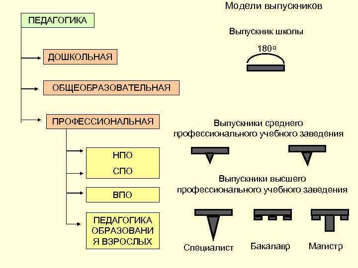 Модели выпускников ПЕДАГОГИКА Выпускник школы 180 ДОШКОЛЬНАЯ ОБЩЕОБРАЗОВАТЕЛЬНАЯ ПРОФЕССИОНАЛЬНАЯ Выпускники среднего профессионального учебного заведения