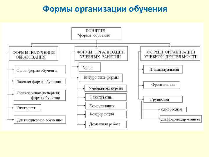 2 процесс обучения его сущность функции принципы