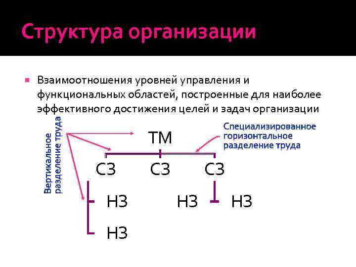 Структура организации Взаимоотношения уровней управления и функциональных областей, построенные для наиболее эффективного достижения целей