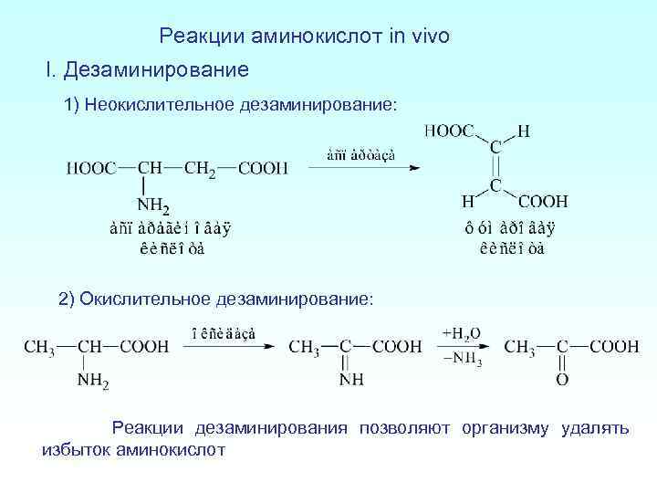 При гидролитическом дезаминировании альфа аминокислот образуется