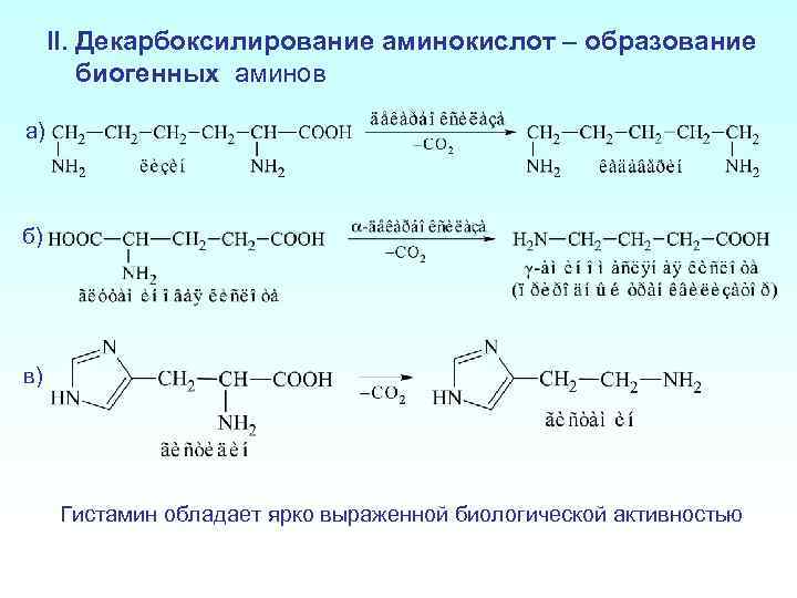 Биогенные амины это