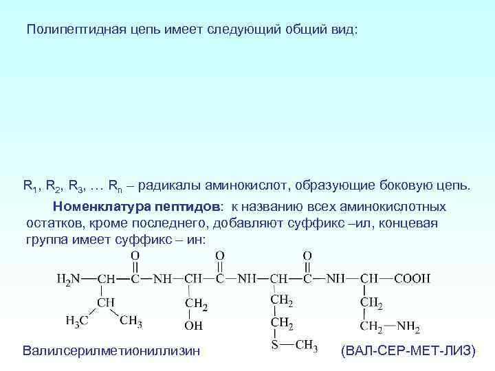 Полипептидная цепь аминокислот