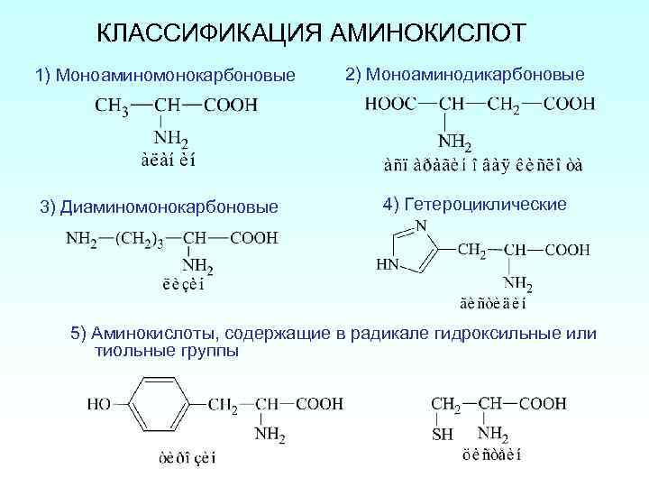 КЛАССИФИКАЦИЯ АМИНОКИСЛОТ 1) Моноаминомонокарбоновые 3) Диаминомонокарбоновые 2) Моноаминодикарбоновые 4) Гетероциклические 5) Аминокислоты, содержащие в