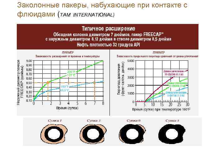 Заколонные пакеры, набухающие при контакте с флюидами (TAM INTERNATIONAL) 