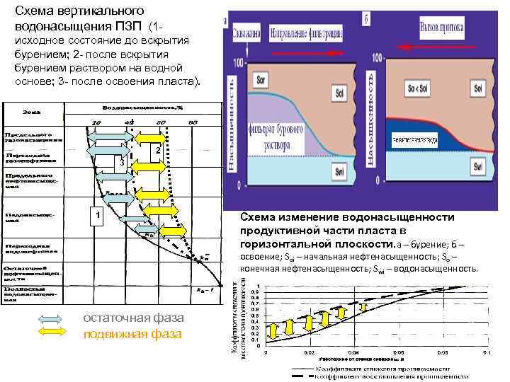 Схема вертикального водонасыщения ПЗП (1 исходное состояние до вскрытия бурением; 2 - после вскрытия