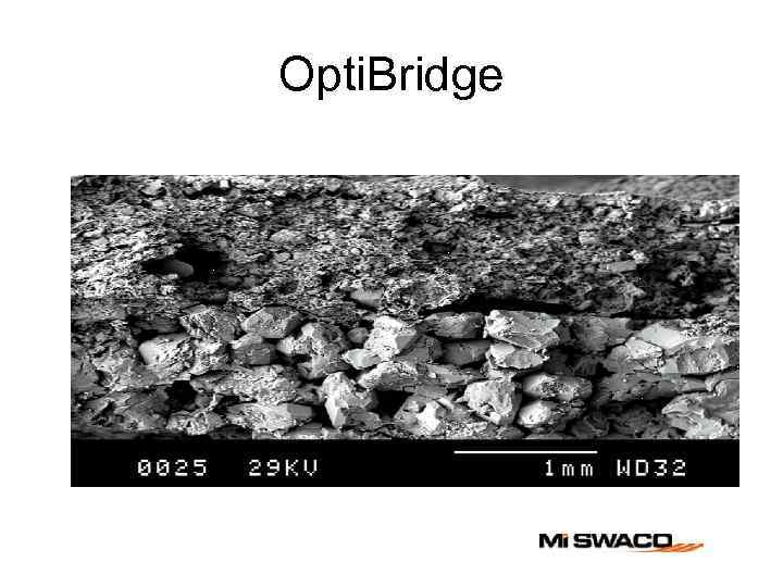 Opti. Bridge 