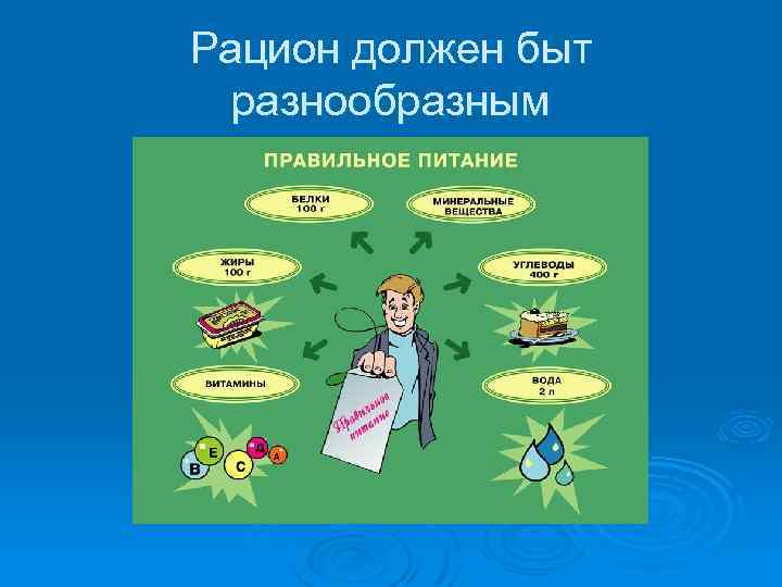 Рацион должен быт разнообразным 