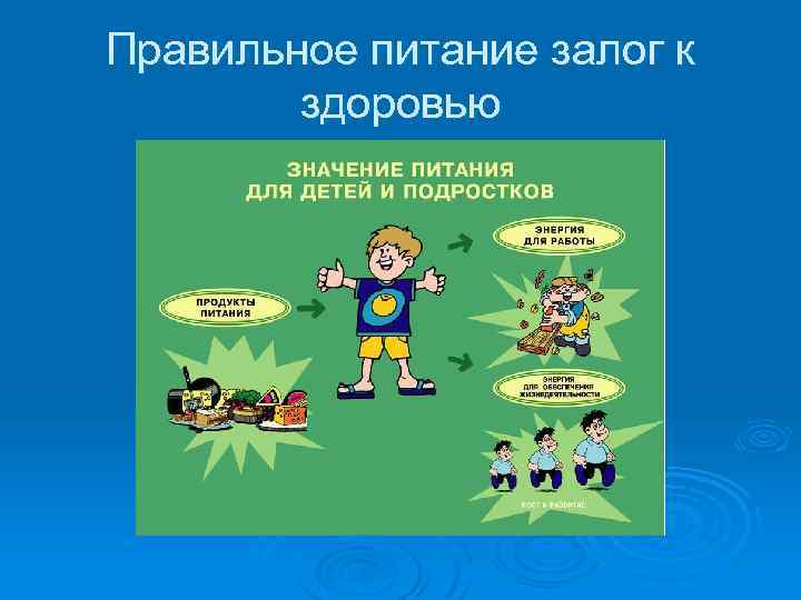 Правильное питание залог к здоровью 