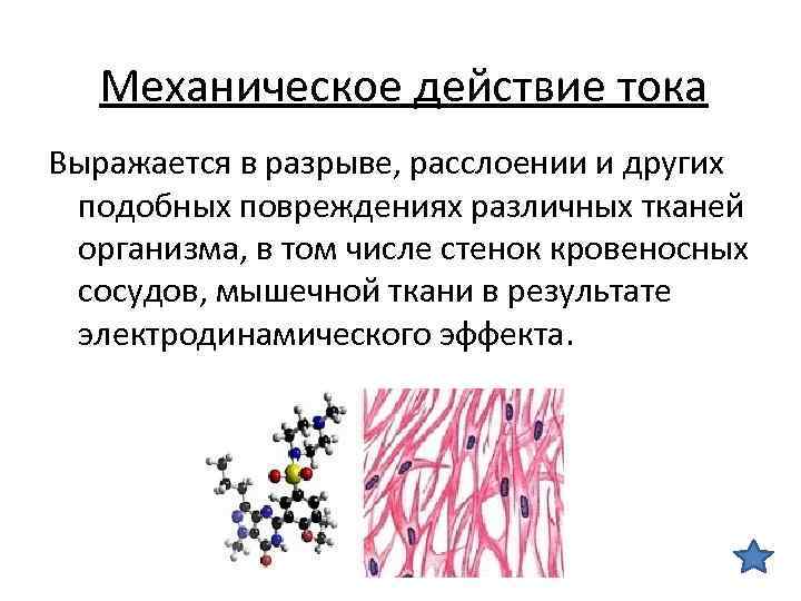 Механическое действие тока Выражается в разрыве, расслоении и других подобных повреждениях различных тканей организма,