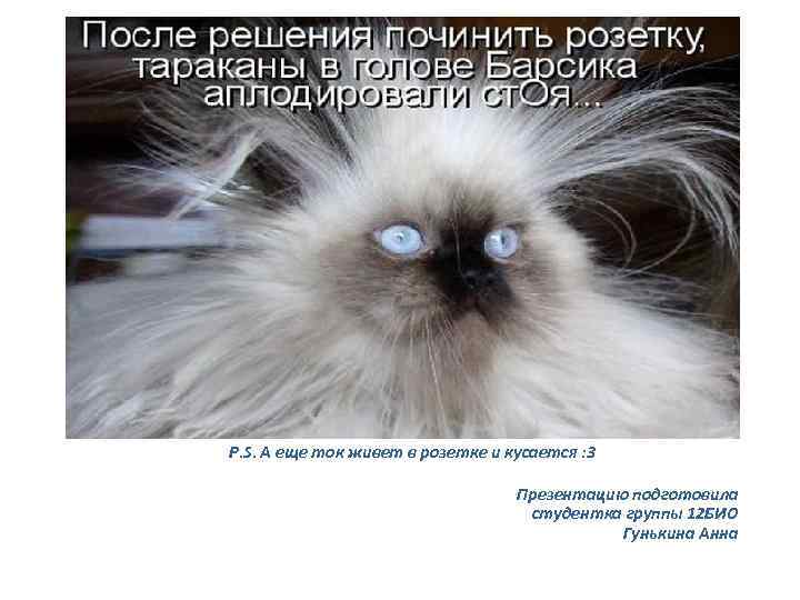 P. S. А еще ток живет в розетке и кусается : 3 Презентацию подготовила