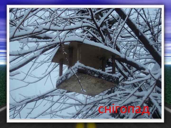 снігопад ТУМАН 