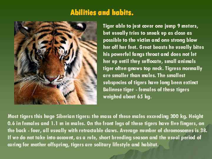 Abilities and habits. Tiger able to just cover one jump 9 meters, but usually