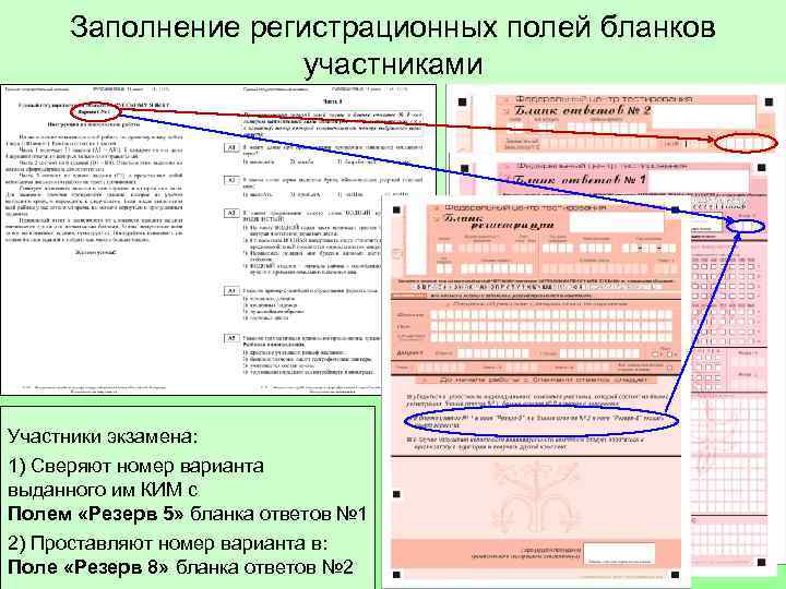 Заполнение регистрационных полей бланков участниками Участники экзамена: 1) Сверяют номер варианта выданного им КИМ