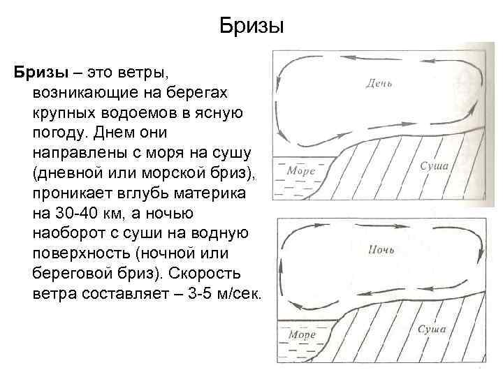 Бризы – это ветры, возникающие на берегах крупных водоемов в ясную погоду. Днем они