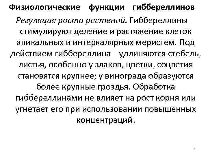 Физиологические функции гиббереллинов Регуляция роста растений. Гиббереллины стимулируют деление и растяжение клеток апикальных и