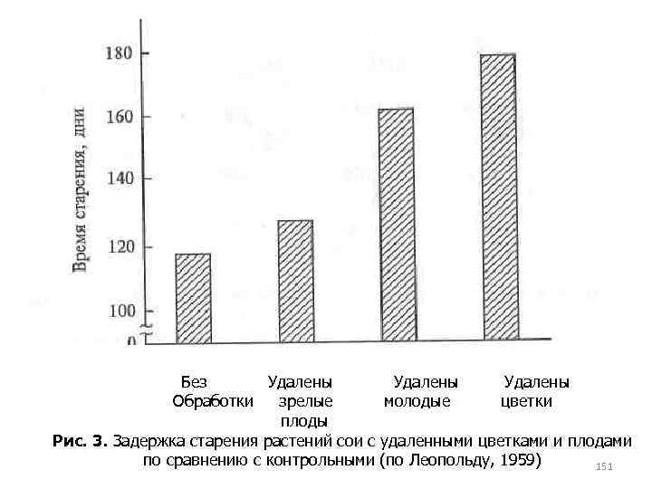 Без Удалены Обработки зрелые молодые цветки плоды Рис. 3. Задержка старения растений сои с