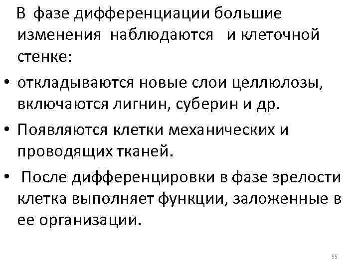 В фазе дифференциации большие изменения наблюдаются и клеточной стенке: • откладываются новые слои целлюлозы,
