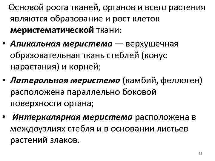 Основой роста тканей, органов и всего растения являются образование и рост клеток меристематической ткани:
