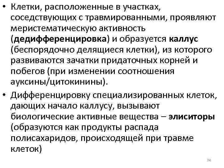  • Клетки, расположенные в участках, соседствующих с травмированными, проявляют меристематическую активность (дедифференцировка) и