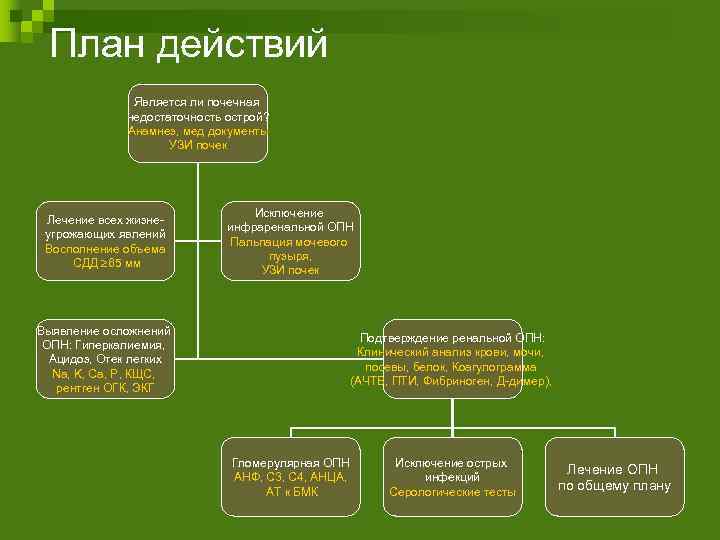 План действий Является ли почечная недостаточность острой? Анамнез, мед документы УЗИ почек Лечение всех