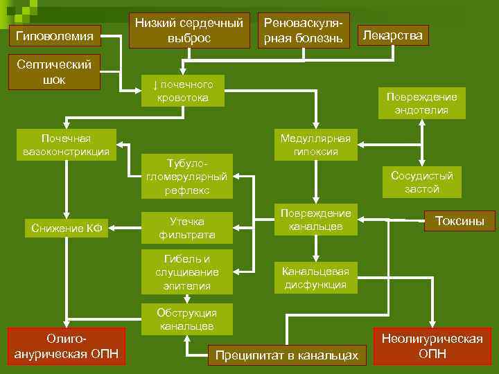 Гиповолемия Септический шок Почечная вазоконстрикция Снижение КФ Низкий сердечный выброс ↓ почечного кровотока Лекарства