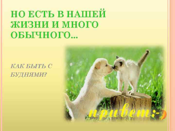 НО ЕСТЬ В НАШЕЙ ЖИЗНИ И МНОГО ОБЫЧНОГО. . . КАК БЫТЬ С БУДНЯМИ?