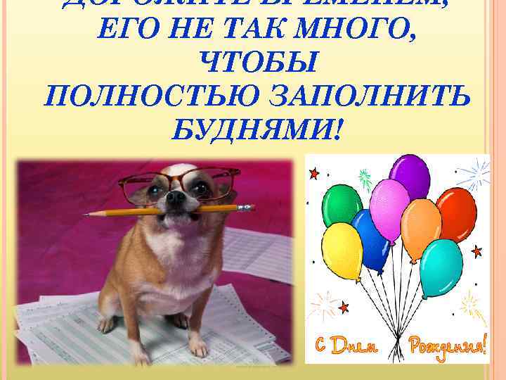 ДОРОЖИТЕ ВРЕМЕНЕМ, ЕГО НЕ ТАК МНОГО, ЧТОБЫ ПОЛНОСТЬЮ ЗАПОЛНИТЬ БУДНЯМИ! 