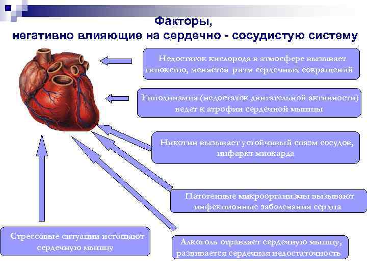 Факторы, негативно влияющие на сердечно - сосудистую систему Недостаток кислорода в атмосфере вызывает гипоксию,