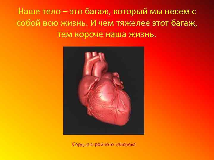 Наше тело – это багаж, который мы несем с собой всю жизнь. И чем
